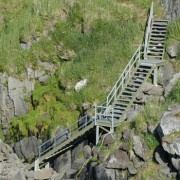 molded-outdoor-stairs